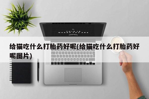 打胎药在线购买微信给猫吃什么打胎药好呢(给猫吃什么打胎药好呢图片)